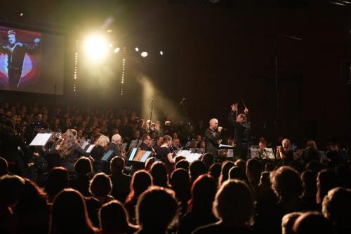 Cinema in Concert 2025